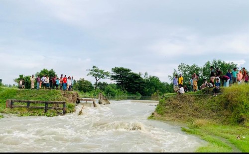 কাশিয়ায় বারবার ভাঙা সুইচগেট, দুর্ভোগে হাজারো মানুষ