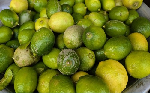 রোজা শুরুর আগেই ভালুকায় লেবুর দামে অস্বাভাবিক উল্লম্ফন